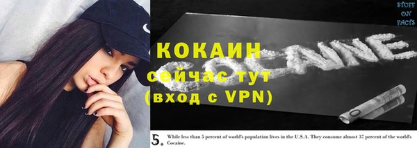 сатива Калининец